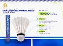 Qua_Cau_Long_Promax_PR-640_(12_qua)