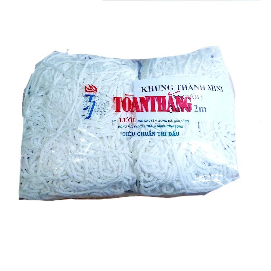Lưới khung thành 5 người thường